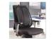 Seljatugi ergonoomiline FELLOWES Office seeria