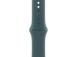 Apple Sport Band, 42 mm, S/M, roheline - Kellarihm