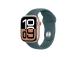 Apple Sport Band, 42 mm, S/M, roheline - Kellarihm