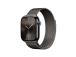 Apple Milanese Loop, 42 mm, hall - Kellarihm