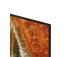 Samsung QN70F, 65'', 4K UHD, Neo QLED, Mini LED, must - Teler