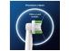 Braun Oral-B Precision Clean Pro, 6 tk, valge - Varuharjad