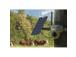 Reolink Go Ranger PT + Solar Panel 2, 8 MP, 4G LTE, akutoide, öörežiim - Rajakaamera koos päiksepaneeliga